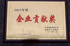 2017年度企業(yè)貢獻(xiàn)獎(jiǎng)